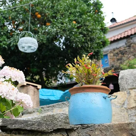 Casa Do Engenho - Canadelo * Amarante