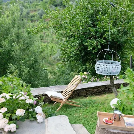 Casa Do Engenho - Canadelo *