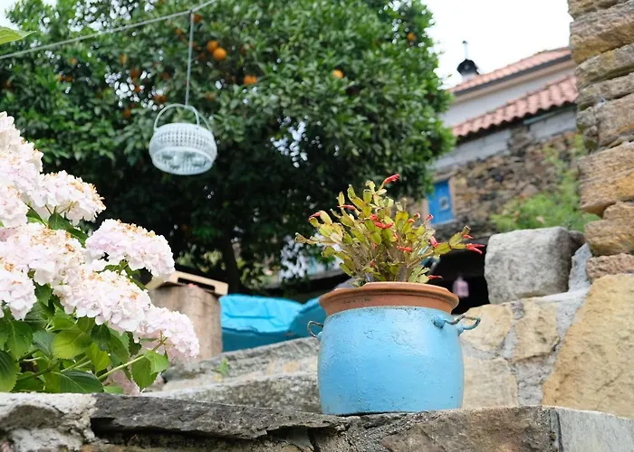 Casa Do Engenho - Canadelo * 阿马兰特