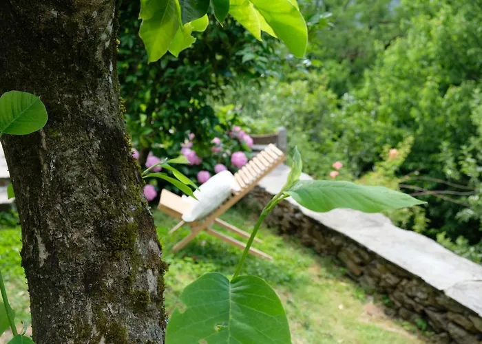 Casa Do Engenho - Canadelo *